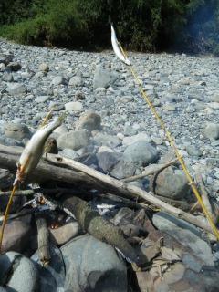 河原で鮎を焼く