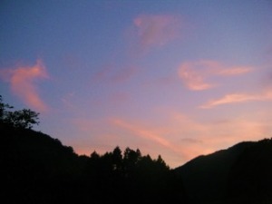 秋の夕日に・・ 秋の夕日に・・